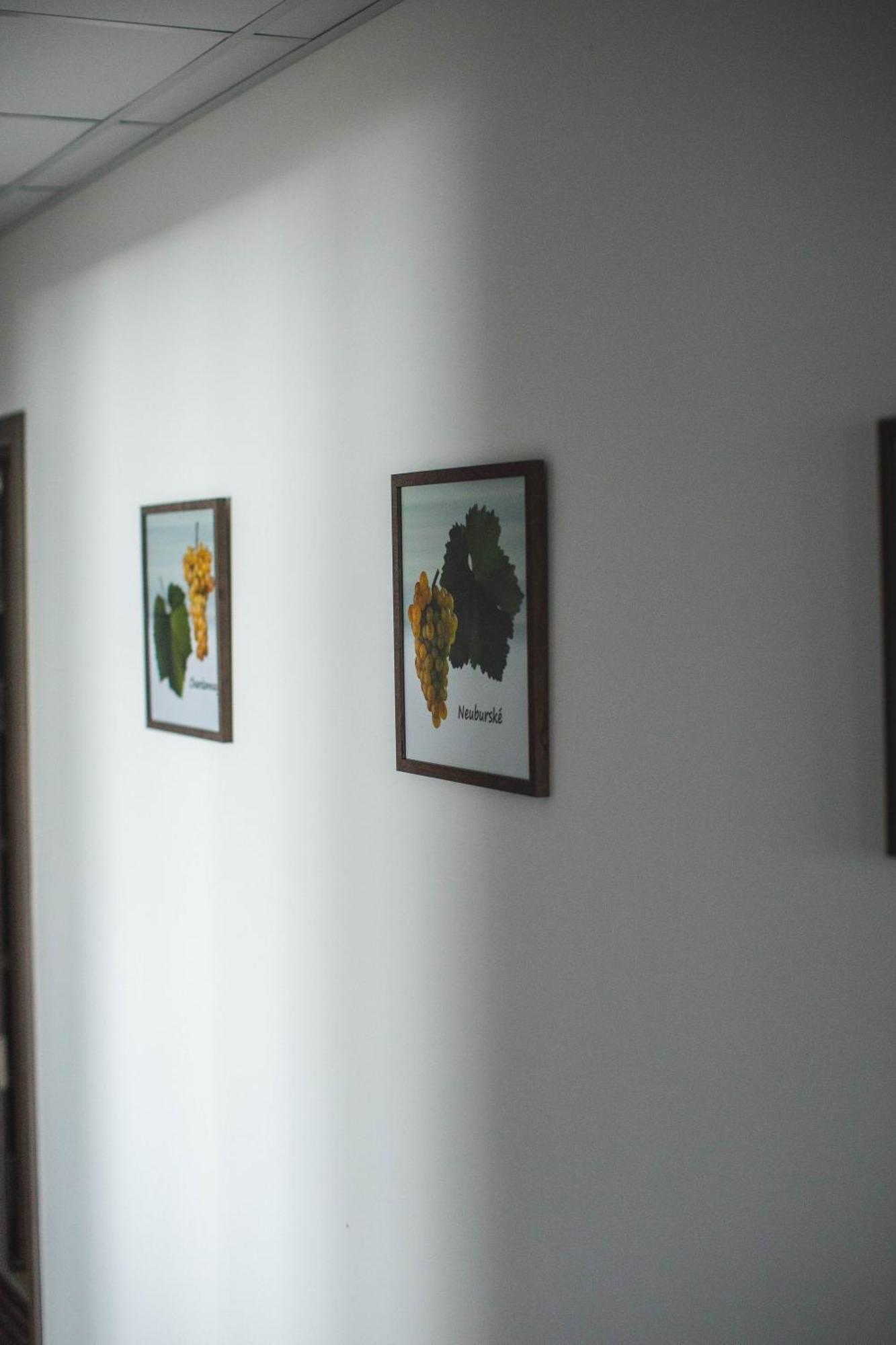 Apartmany Pemag ميكولوف المظهر الخارجي الصورة